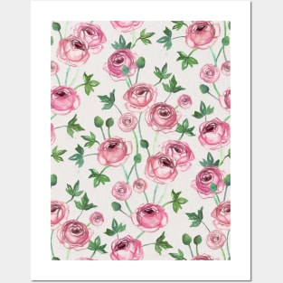 Painted Pink Ranunculus Pattern Posters and Art